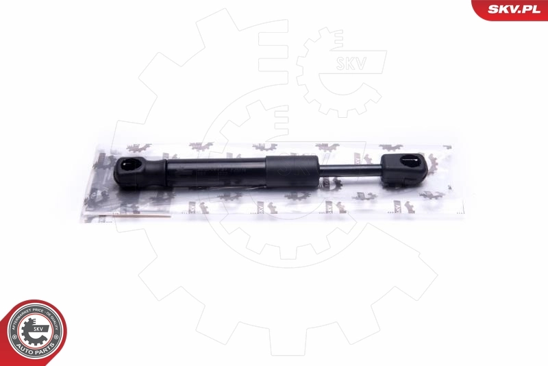 Gas Spring, boot/cargo area
